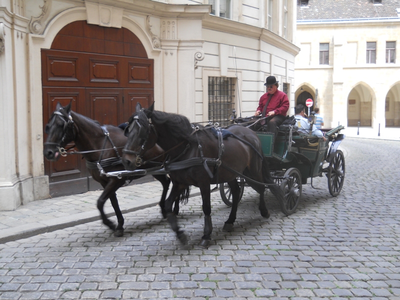 Carozza per giro turistico - Carriage tour